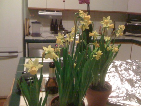 f:id:yorkyyorky:20120304195627j:image