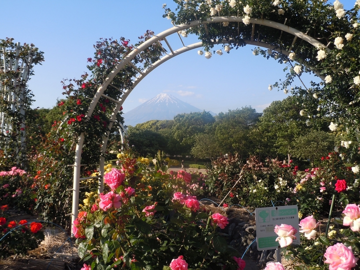f:id:yoro-schon:20191004010049j:plain f:id:yoro-schon:20191004010049j:plain