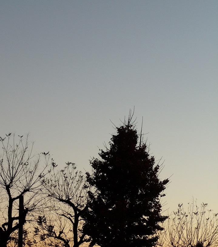 f:id:yoro-schon:20191220020028j:plain