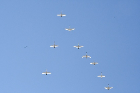 DSC_1549.JPG