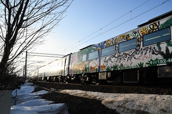 DSC_1880.JPG
