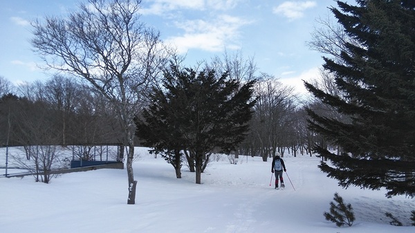 DSC_4016.jpg