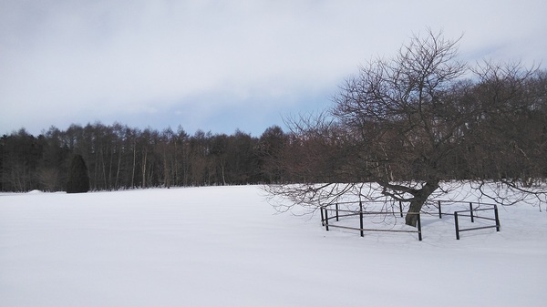 DSC_4026.jpg
