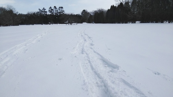DSC_4027.jpg