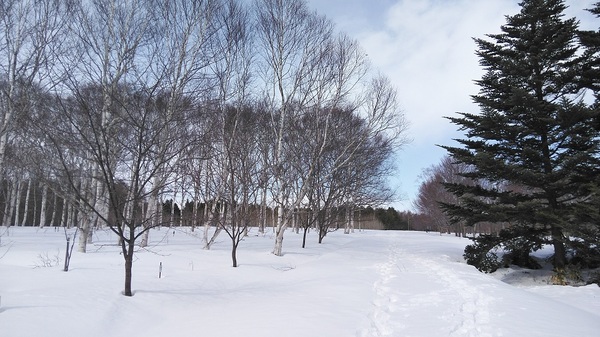 DSC_4032-2.jpg