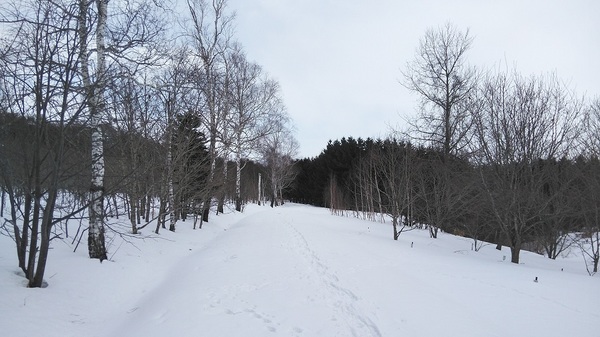 DSC_4037.jpg