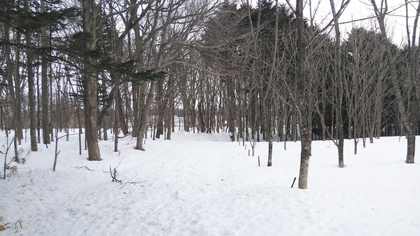 DSC_4038-2.jpg