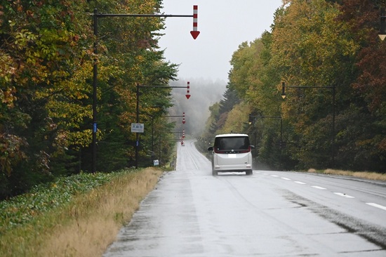 DSC_4633.JPG