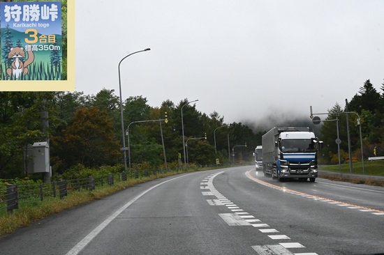DSC_4647.JPG