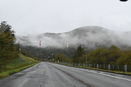 DSC_4652.JPG