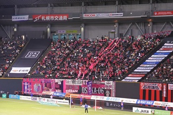 DSC_1356.JPG