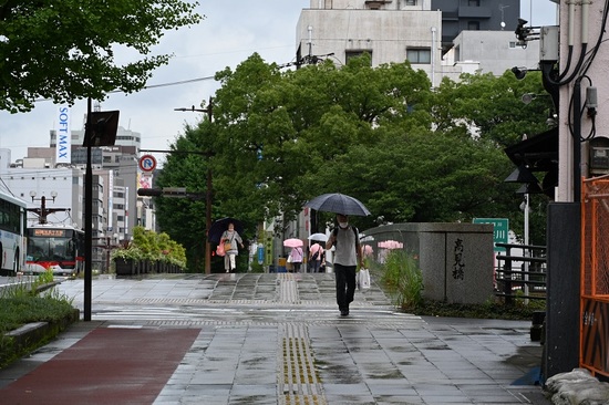 DSC_3302.JPG