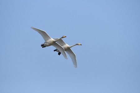 DSC_5088-2.JPG