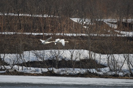 DSC_5119.JPG