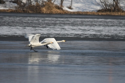 DSC_5135.JPG