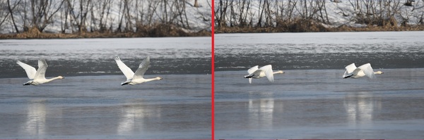 DSC_5147.JPG
