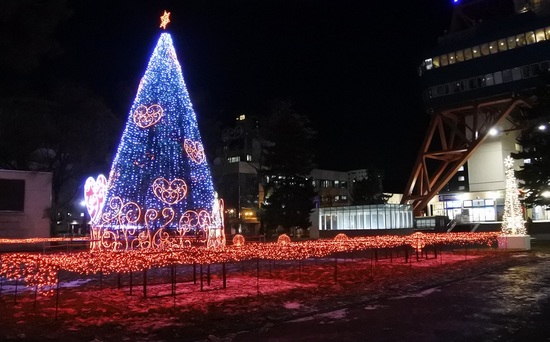DSC_1712.JPG