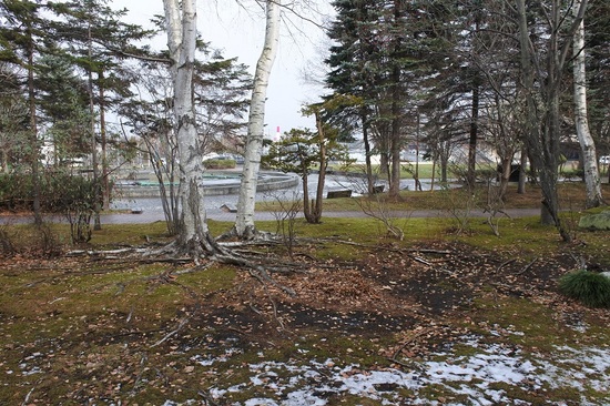 DSC_3344.JPG