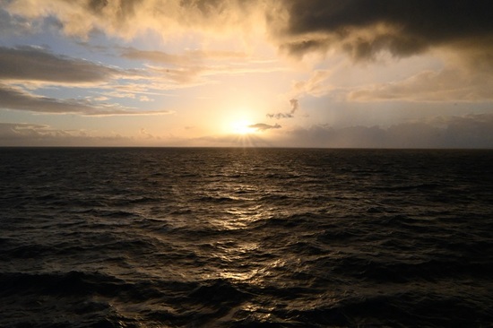 DSC_0261-4.JPG