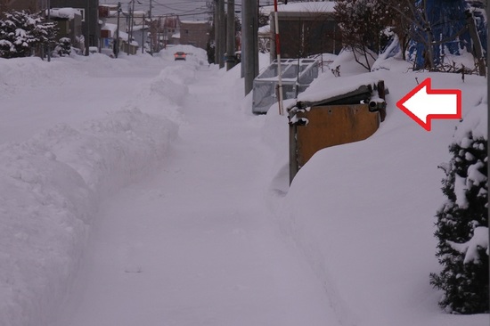 DSC_2290.JPG
