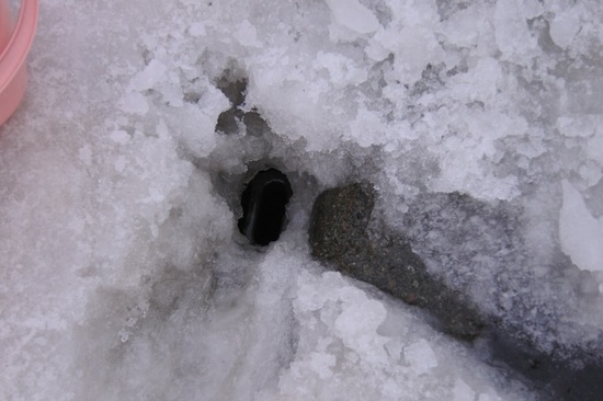 DSC_2356.JPG