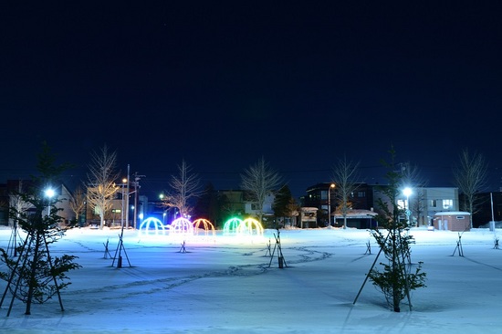 DSC_8012.jpg
