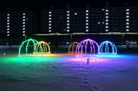 DSC_8014.jpg