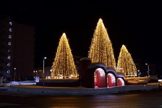 DSC_8030.jpg