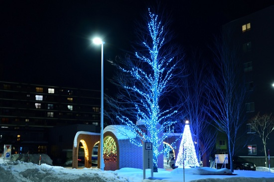 DSC_8042.jpg