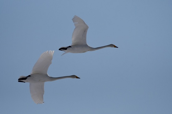 DSC_5758.jpg