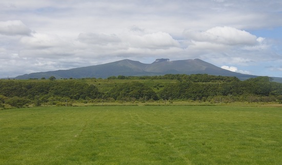 DSC_6123.JPG