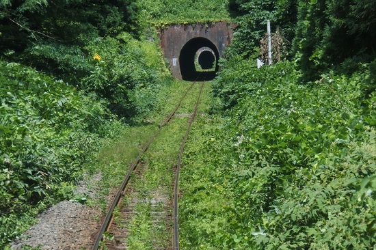 DSC_6411.JPG