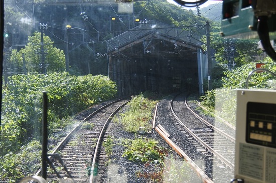 DSC_6575.JPG