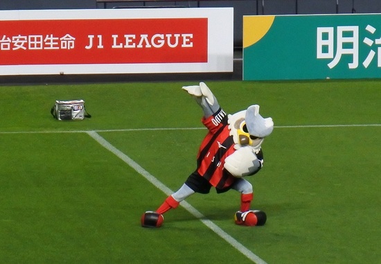DSC_7553.JPG