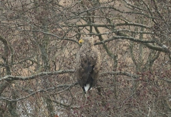 DSC_2195.jpg