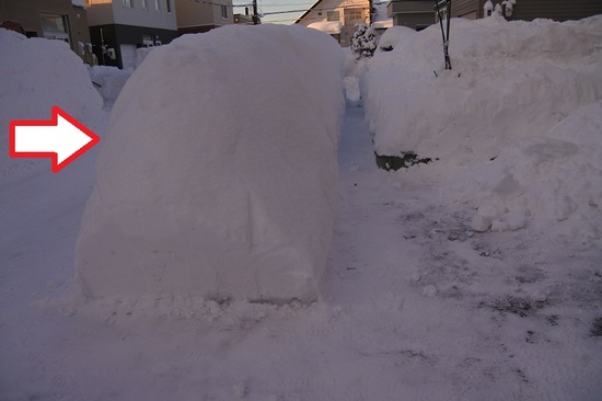 DSC_1010.JPG
