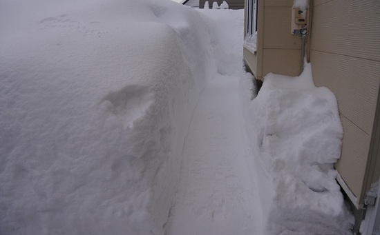 DSC_1152.JPG