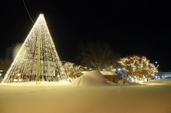 DSC_1258.JPG