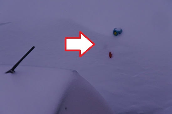DSC_1379.JPG