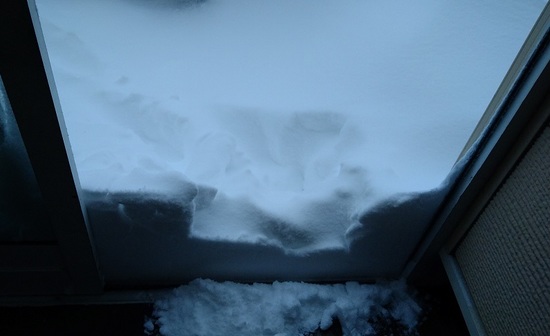 DSC_2480-2.JPG