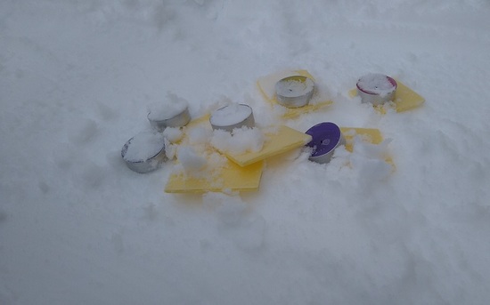 DSC_2490.JPG
