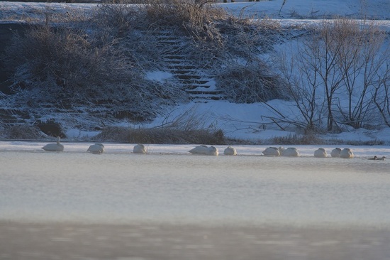 DSC_1764-2.jpg