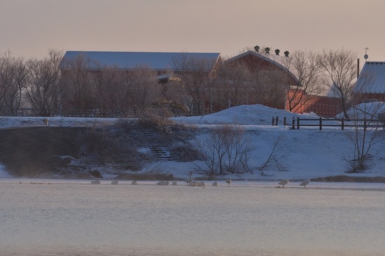 DSC_1764.jpg