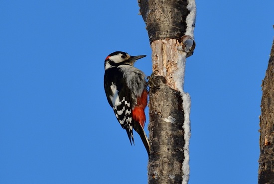 DSC_1765-2.jpg