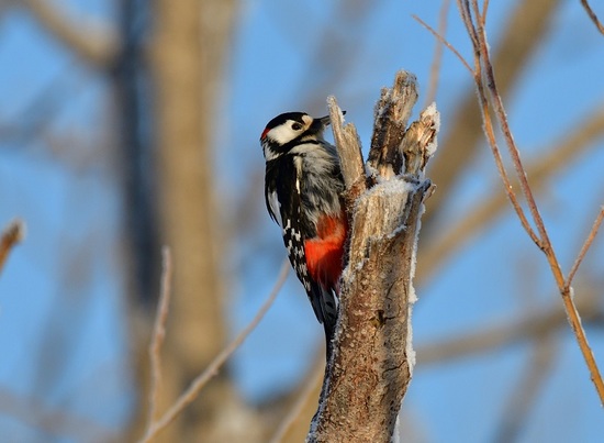 DSC_1765.jpg