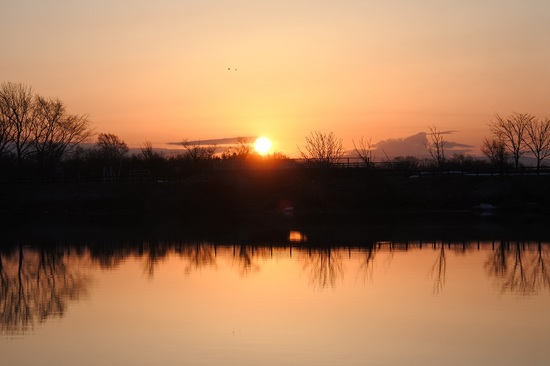DSC_1977.JPG
