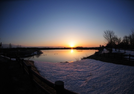 DSC_1989-4.jpg