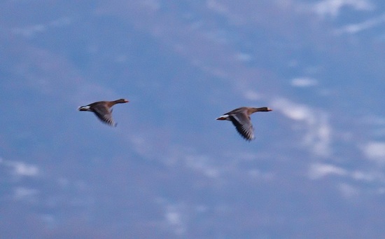 DSC_2227.jpg