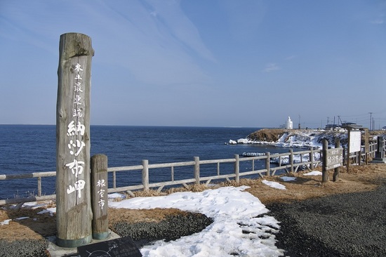 DSC_0421.JPG