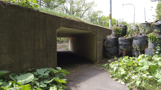 DSC_3047.JPG